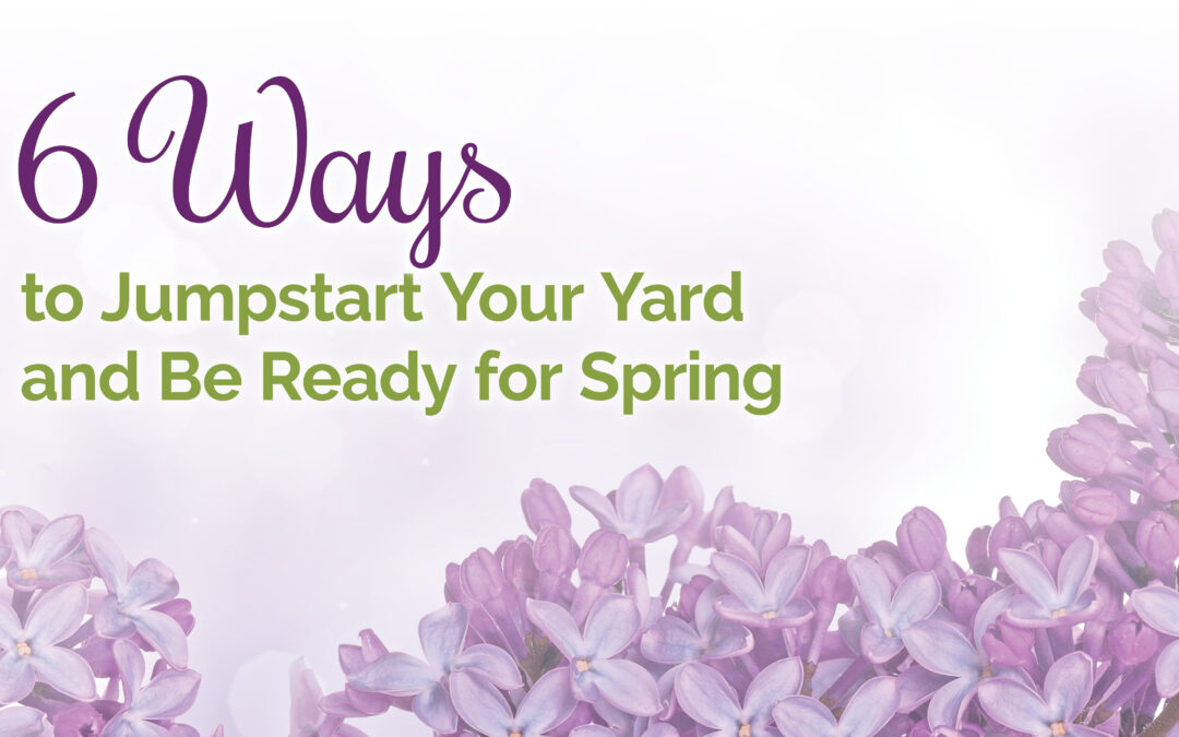 6 Ways to Jumpstart Your Yard and Be Ready for Spring